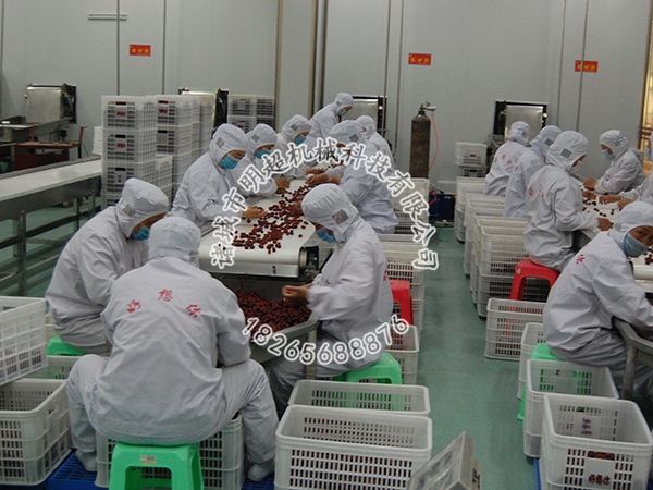 紅棗挑選輸送機(jī).jpg