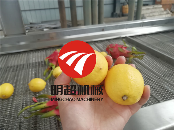 火龍果檸檬加工設備案例 (4).jpg
