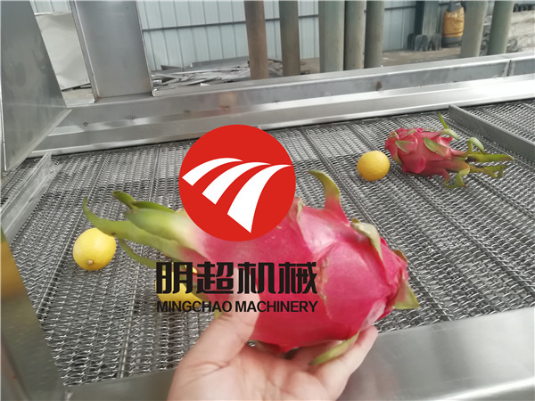 火龍果檸檬加工設備案例 (3).jpg