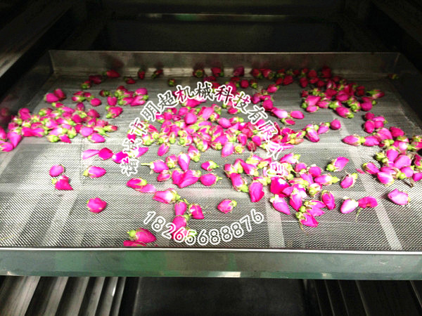 玫瑰花烘干箱.jpg
