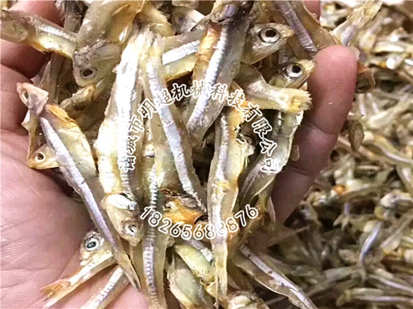 小咸魚烘干機案例.jpg