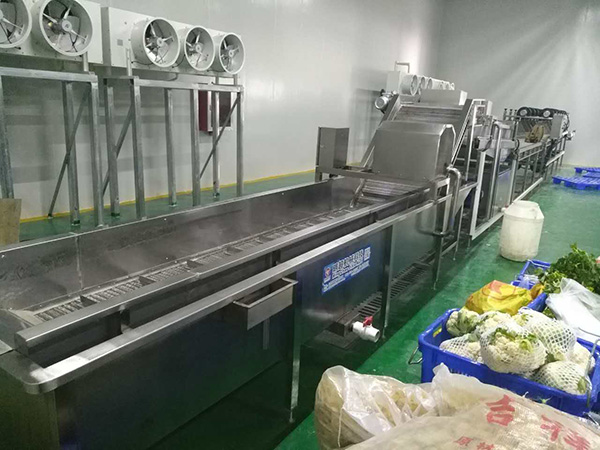 蔬菜清洗機 (1).jpg