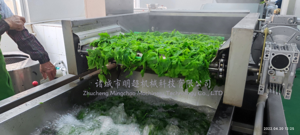 桑芽菜清洗漂燙流水線 (4).jpg