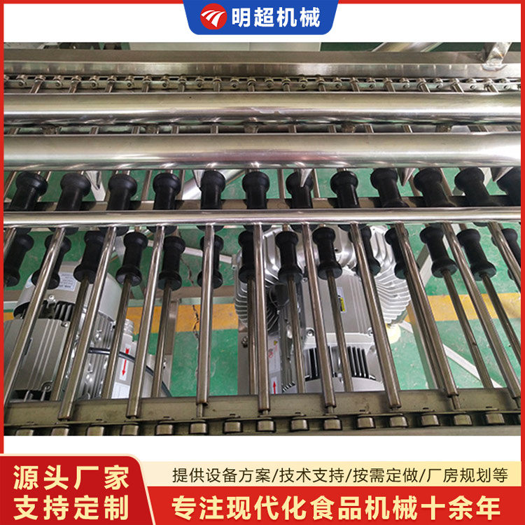 鴨蛋清洗流水線(-單排雙排)