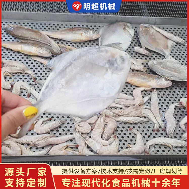 秋葵速凍機生產廠家 海鮮冰凍機 隧道式速凍機