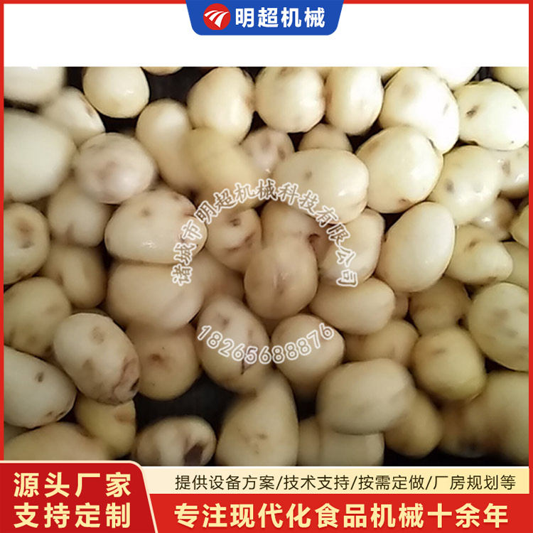 土豆脫皮設備