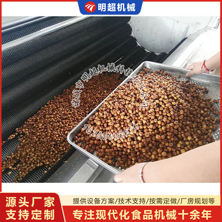 毛輥去泥沙清洗機