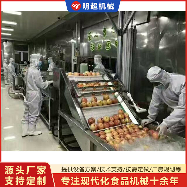 蘋果清洗機-水果清洗流水線