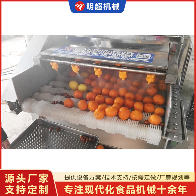 橙子清洗機-水果清洗機