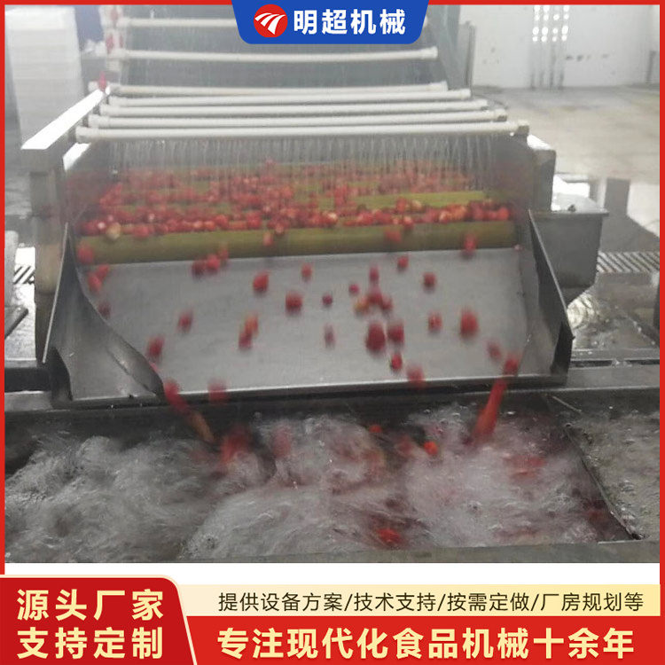草莓清洗機-草莓毛刷清洗機