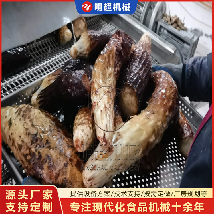 肉蓯蓉清洗機(jī)