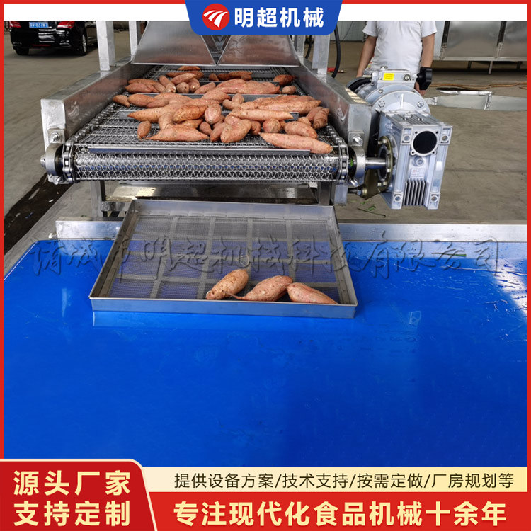 紅薯清洗機-球莖類泥沙清洗設備