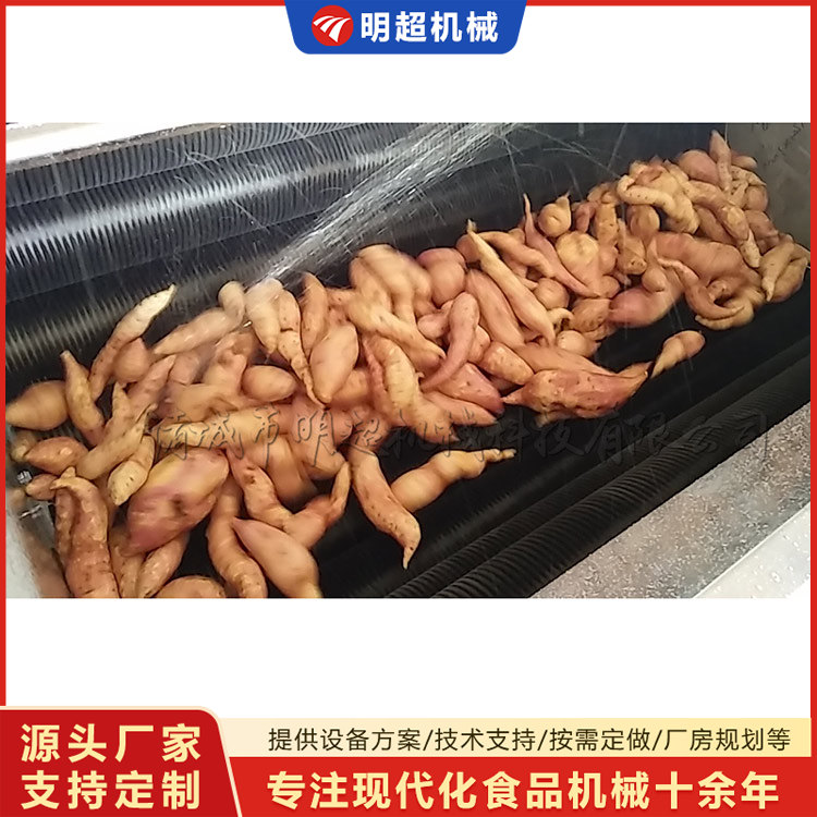 紅薯清洗機-球莖類泥沙清洗設備
