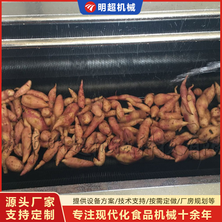 紅薯清洗機-球莖類泥沙清洗設備