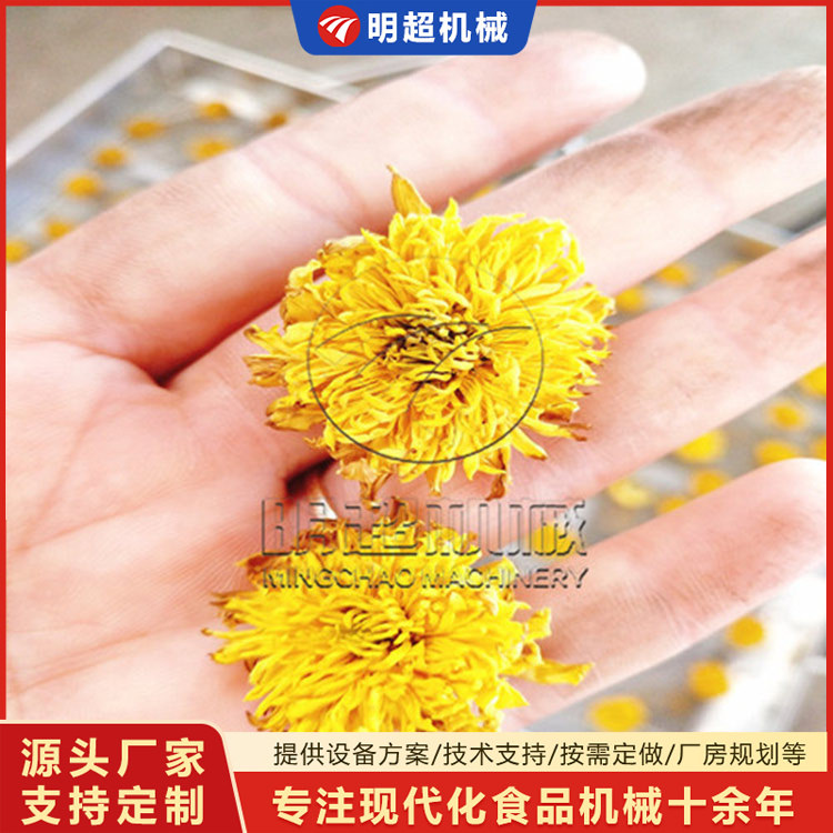 菊花烘干機