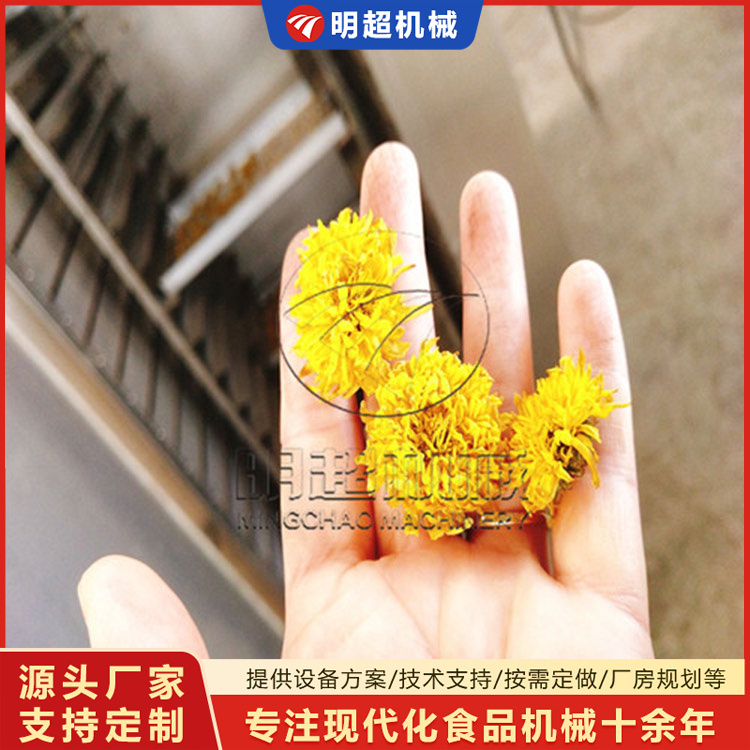 菊花烘干機