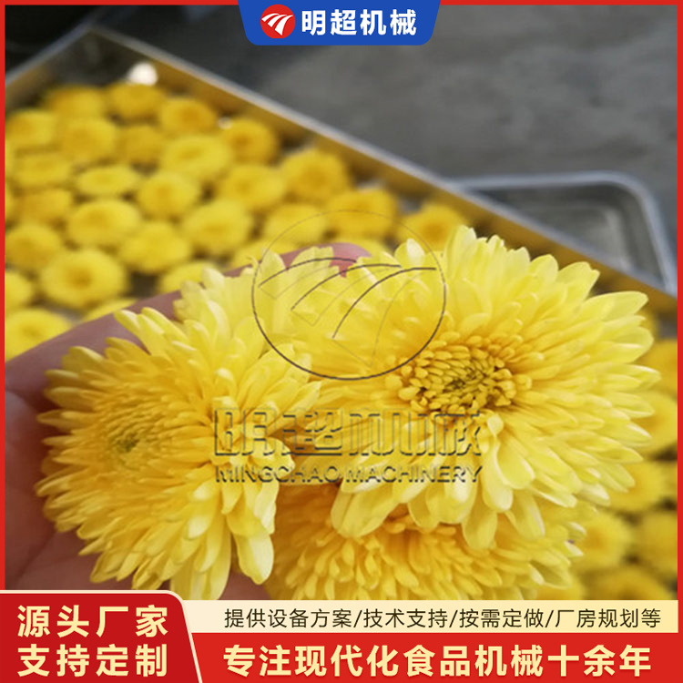 菊花烘干機
