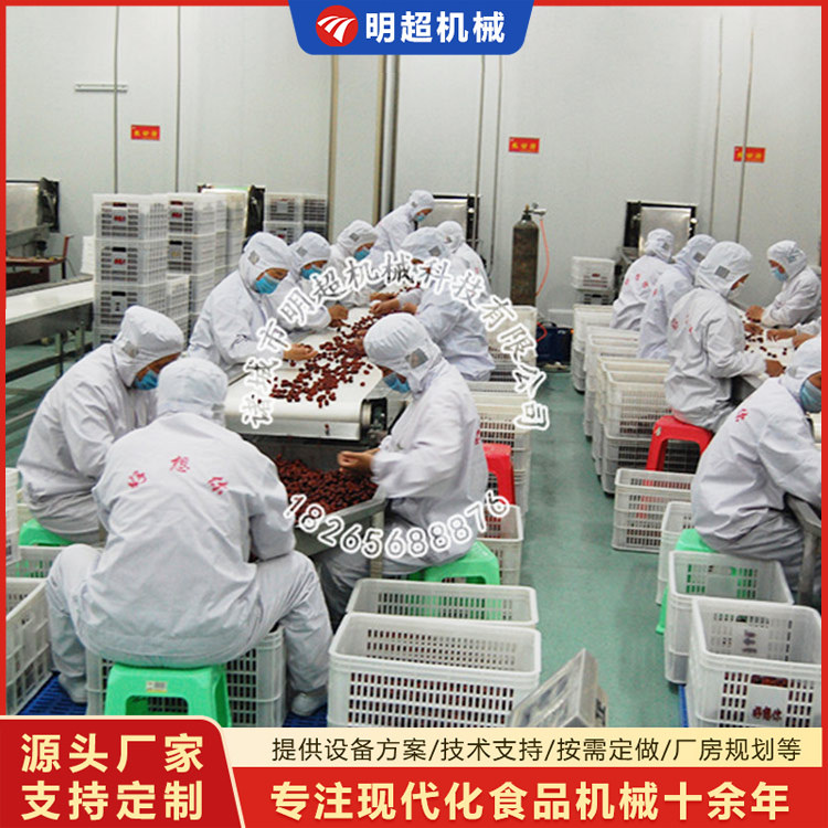 大棗清洗加工流水線