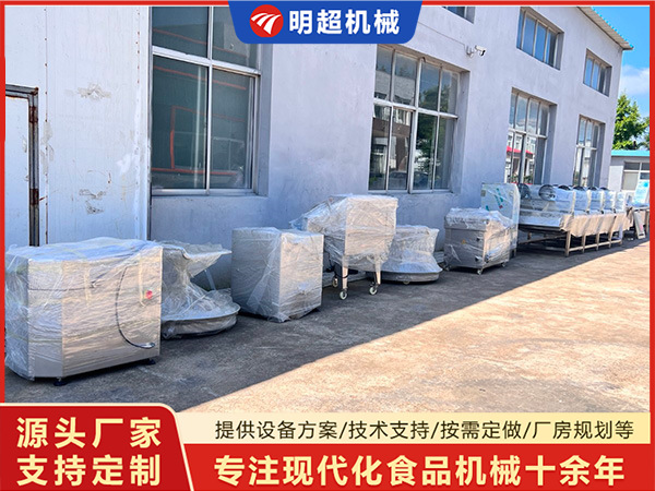 湖南全套土豆絲渦流清洗線發貨