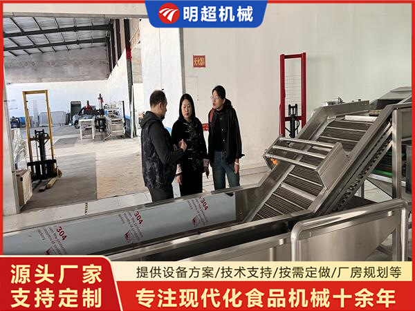 俄羅斯客戶考察蔬菜清洗機