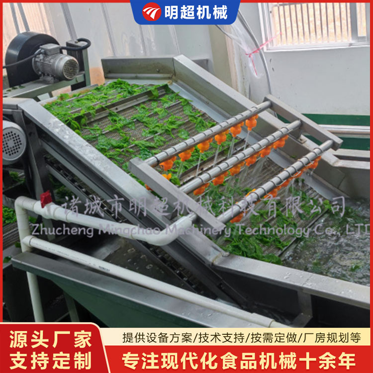 桑芽菜清洗漂燙流水線